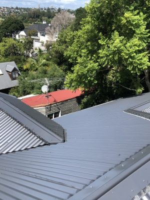 Suburban re-roof