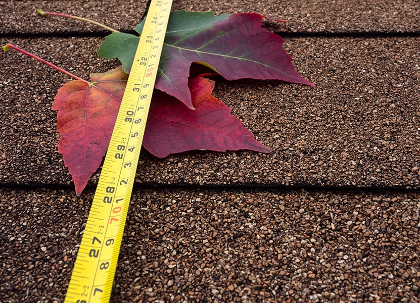 Roofing west auckland