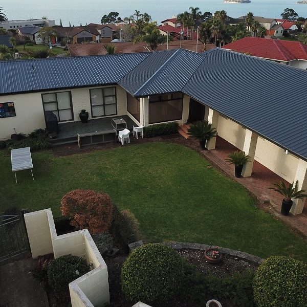 Cockle thumb 600x600 - Roofing Contractors Auckland