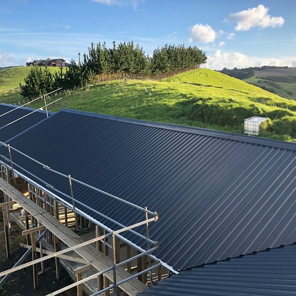 South Head thumb 600x600 - Roofing Contractors Auckland